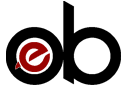 Digital eBrandz | Top SEO Company INDIA